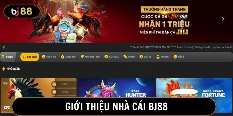 BJ88 là nhà cái chuyên cá cược đá gà nổi danh tại Việt Nam